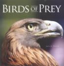 Image for BIRDS OF PREY