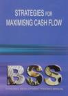 Image for Strategies for Maximising Cash Flow