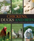 Image for Chickens, Ducks and Bees