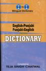 Image for English-Punjabi &amp; Punjabi-English One-to-one Dictionary - Script &amp; Roman