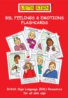 Image for Let&#39;s Sign Bsl Feelings &amp; Emotions Flashcards