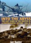 Image for Into the abyss  : the last years of the Waffen-SS, 1939-45