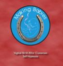 Image for Vaginal Birth After Caesarean : Relaxation and Self Hypnosis for Birth