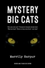 Image for Mystery big cats