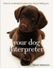 Image for Your Dog Interpreter