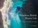 Image for Wondrous British marine life  : a handbook for coastal explorers