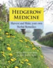 Image for Hedgerow medicine: harvest and make your own herbal remedies