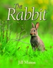 Image for The Rabbit