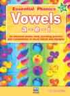 Image for Vowels  : a - e - i