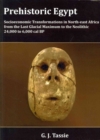 Image for Prehistoric Egypt  : socioeconomic transformations in North-East Africa from the last glacial maximum to the Neolithic, 24,000 to 6,000 cal BP