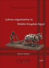 Image for Labour organisation in Middle Kingdom Egypt