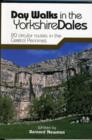 Image for Day walks in the Yorkshire Dales  : 20 circular routes in the central Pennines