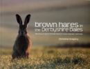 Image for Brown Hares in the Derbyshire Dales