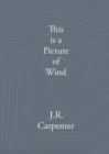 Image for This is a Picture of Wind