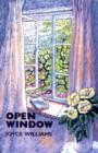 Image for Open Window