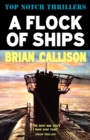 Image for A Flock of Ships