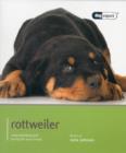 Image for Rottweiler - Dog Expert