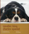 Image for Cavalier King Charles Spaniel - Dog Expert