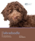 Image for Labradoodle - Dog Expert