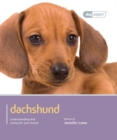 Image for Dachshund - Dog Expert