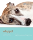 Image for Whippet - Dog Expert