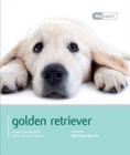 Image for Golden Retriever - Dog Expert