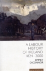 Image for A Labour History of Ireland 1824-2000