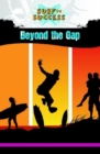 Image for Beyond the Gap