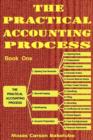 Image for The Practical Accounting Process