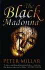 Image for The black Madonna