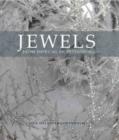 Image for Jewels from Imperial St. Petersburg