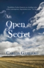 Image for An open secret
