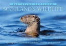 Image for Scotland&#39;s Wildlife: Picturing Scotland : A photographic celebration of Caledonia&#39;s creatures, great and small