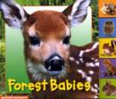 Image for Animal Tabs: Forest Babies