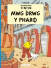 Image for Cyfres Anturiaethau Tintin: Mwg Drwg y Pharo