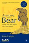 Image for Anatomy of the bear  : lessons from Wall Street&#39;s four great bottoms