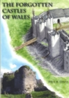 Image for The forgotten castles of Wales