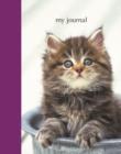 Image for My Journal : Kittens