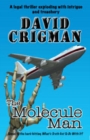 Image for The molecule man : 2