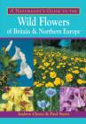 Image for Wild Flowers of Britain &amp; Northern Europe