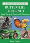 Image for A naturalist&#39;s guide to the butterflies of Borneo