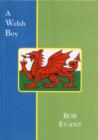 Image for A Welsh Boy