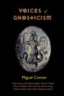 Image for Voices of Gnosticism : Interviews with Elaine Pagels, Marvin Meyer, Bart Ehrman, Bruce Chilton and Other Leading Scholars