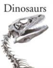 Image for Encyclopedia of Dinosaurs