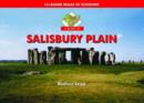 Image for Salisbury Plain