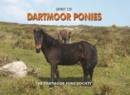 Image for Spirit of Dartmoor Ponies