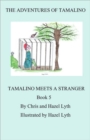 Image for Tamalino meets a stranger : Bk. 5