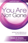 Image for You Are Not Gone