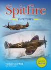 Image for Spitfire in Pictures