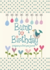 Image for Bump to Birthday, Pregnancy &amp; First Year Journal